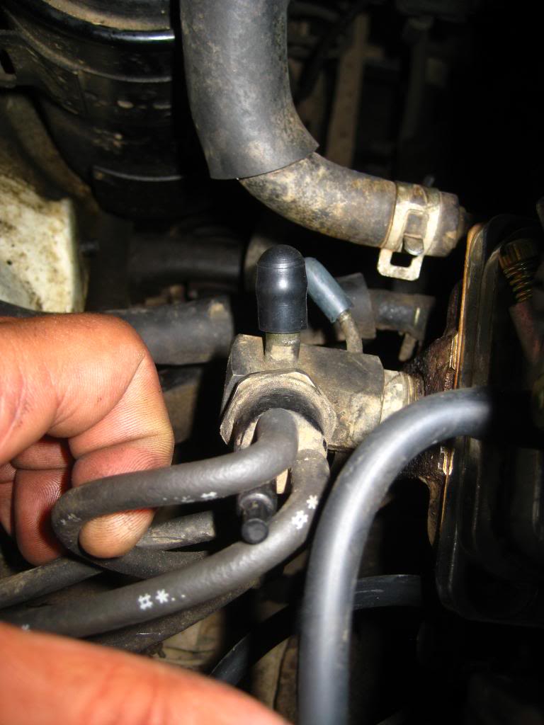 Name: IMG_6615_zpsfedbcd1c.jpg
Views: 4133
Size: 73.8 KB