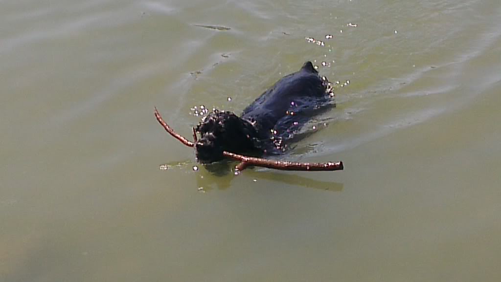 Name: IMAG0139_zps93c36956.jpg
Views: 318
Size: 35.4 KB