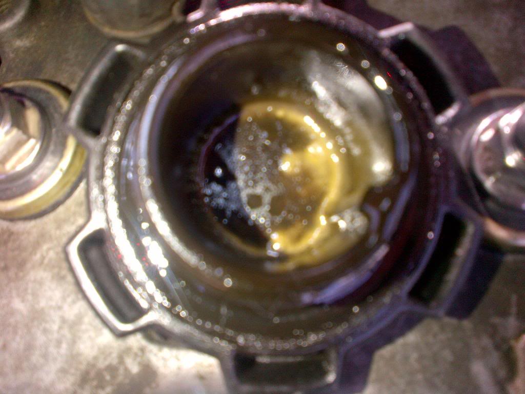 Name:  IMG-20130403-00169.jpg
Views: 536
Size:  80.5 KB