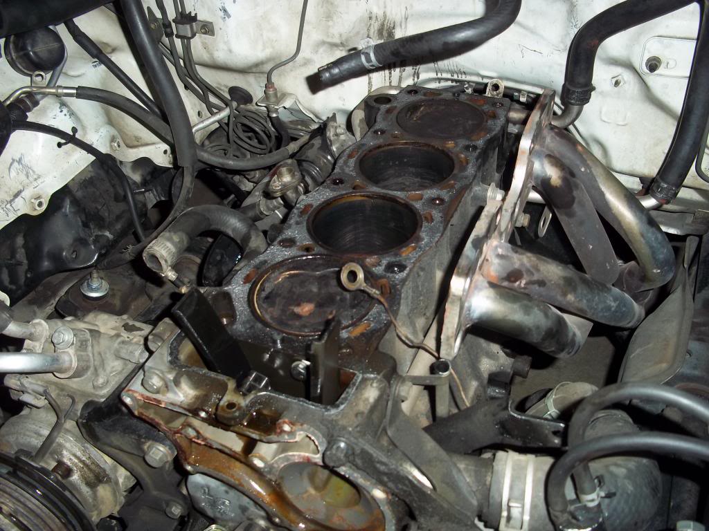 Name:  100_0856.jpg
Views: 1195
Size:  127.4 KB