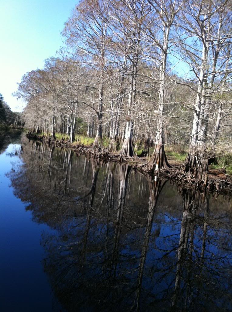 Name:  January2013Campingatthecabinandmore067_zps36341a1d.jpg
Views: 93
Size:  164.0 KB