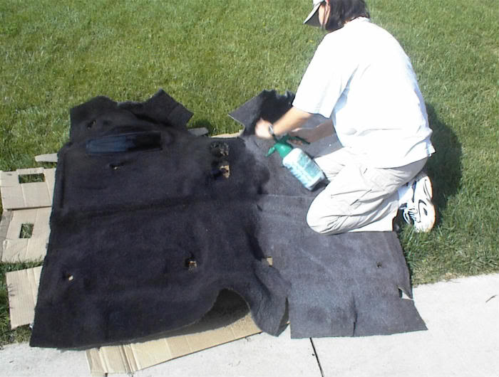 Name:  carpetdye50-50.jpg
Views: 736
Size:  62.2 KB