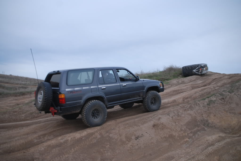 Name:  DSC_0188.jpg
Views: 156
Size:  67.4 KB