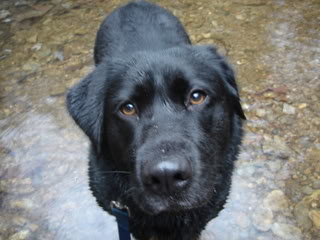 Name:  DSC01504.jpg
Views: 226
Size:  19.6 KB