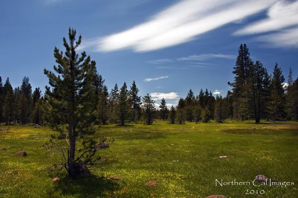Name:  _DSC0059.jpg
Views: 147
Size:  59.4 KB