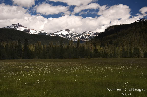 Name:  _DSC0117.jpg
Views: 145
Size:  52.9 KB