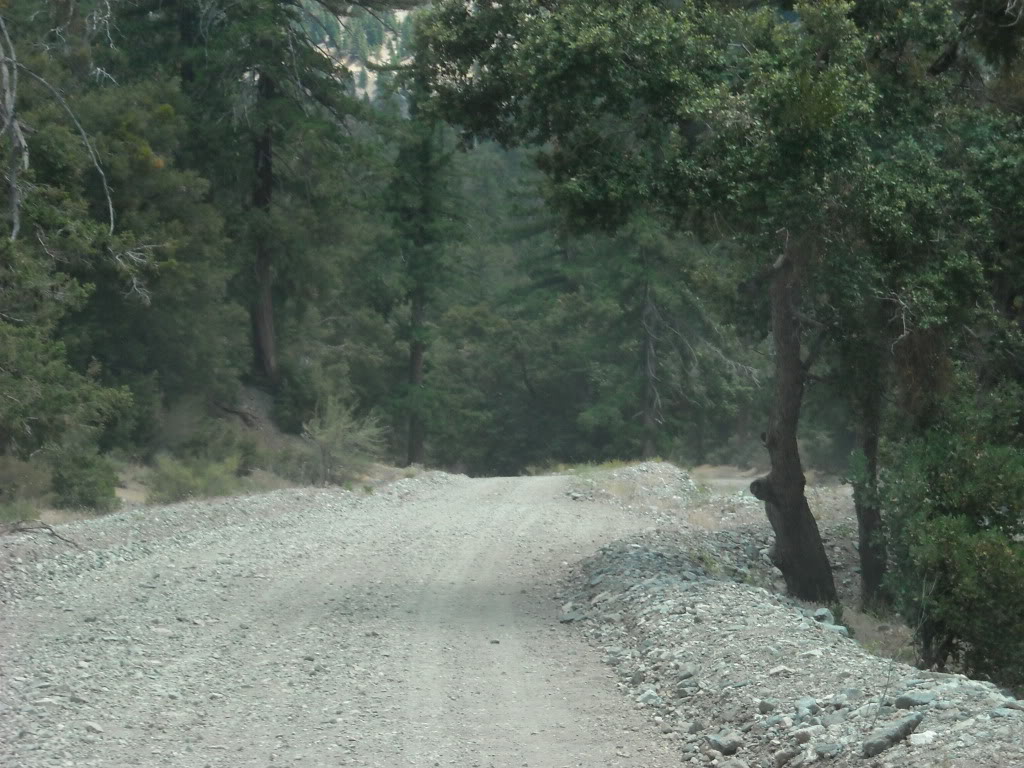 Name:  042.jpg
Views: 109
Size:  165.2 KB
