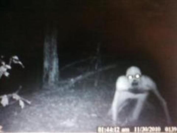 Name:  WisterTrailCamChupacabra.jpg
Views: 1437
Size:  22.1 KB