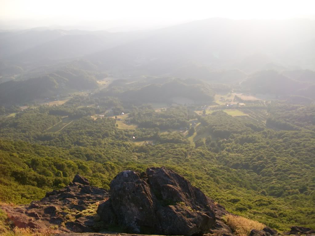 Name:  June2010032.jpg
Views: 159
Size:  146.3 KB