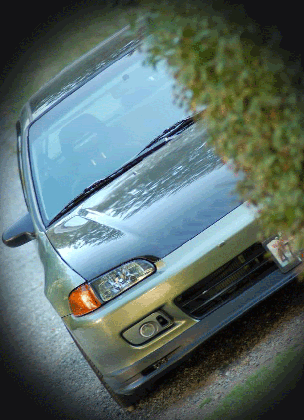 Name:  Civic-grass-1.gif
Views: 176
Size:  274.0 KB