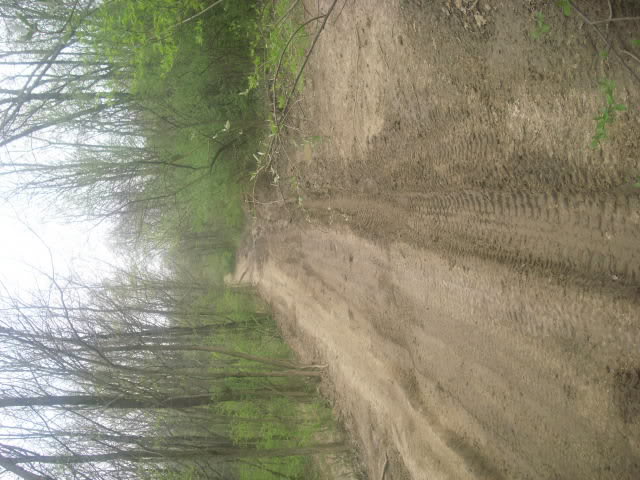 Name:  14123_380742175473_662695473_436043.jpg
Views: 129
Size:  63.4 KB