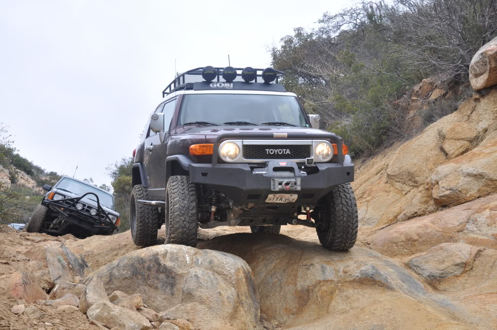 Name:  DSC_0384.jpg
Views: 136
Size:  177.1 KB