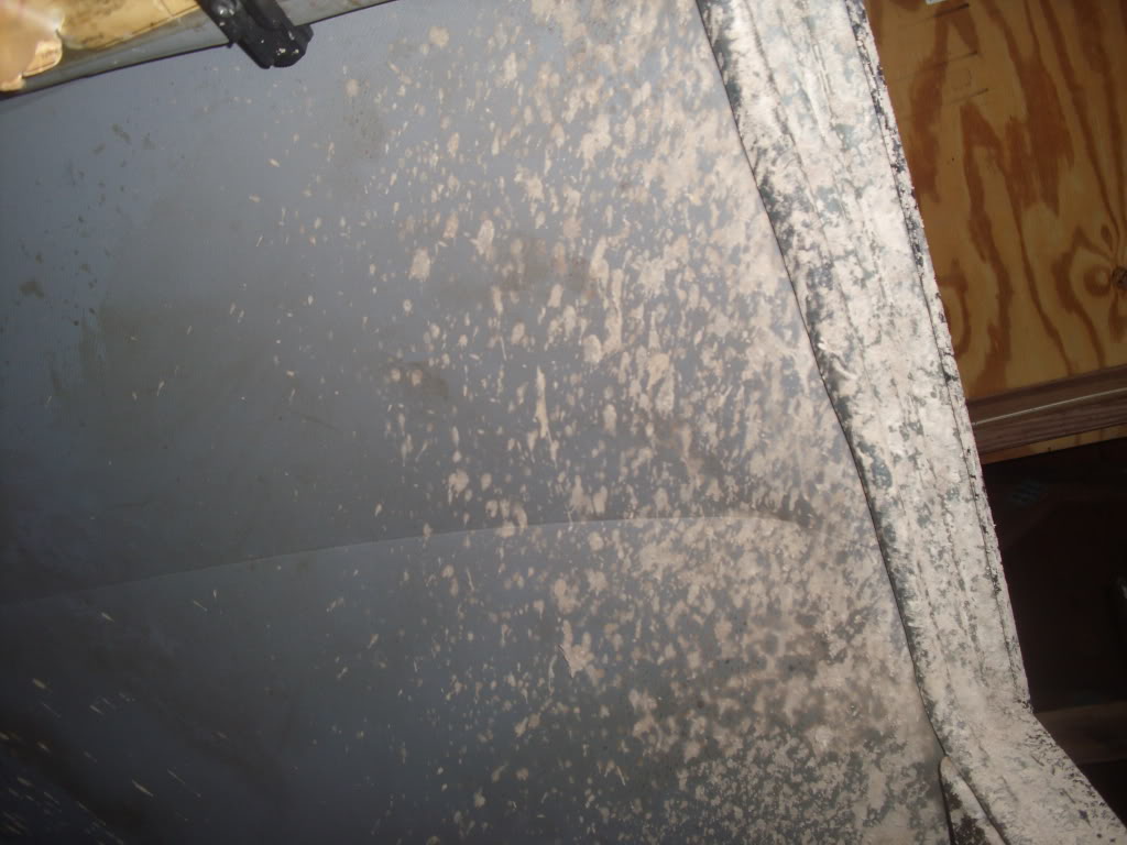 Name:  DSCI0820.jpg
Views: 123
Size:  91.1 KB