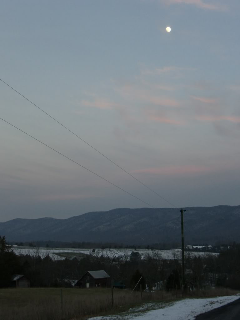 Name:  CIMG6986.jpg
Views: 77
Size:  37.7 KB