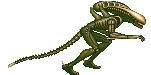 Name:  avsp_alien_02.gif
Views: 93
Size:  11.4 KB