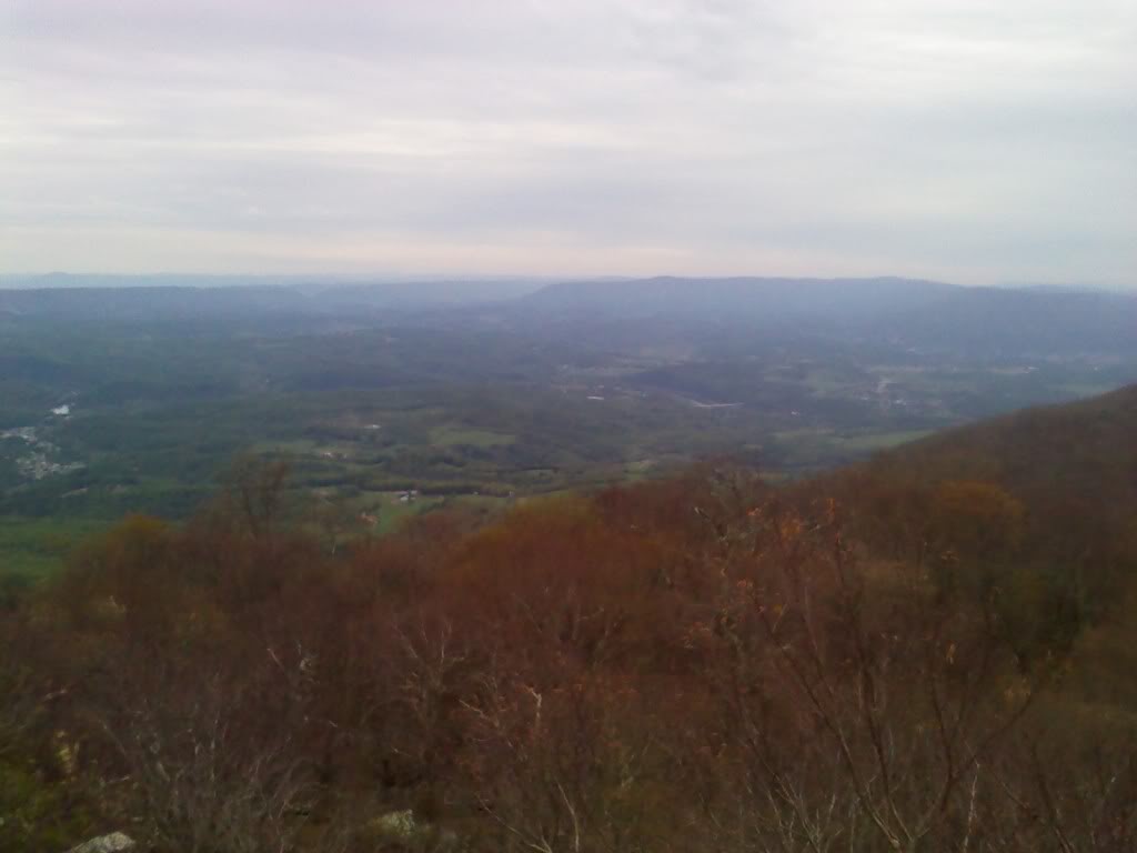 Name:  Picturesfromcamera806.jpg
Views: 86
Size:  42.4 KB
