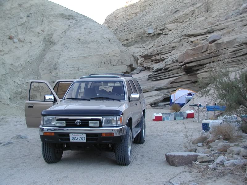 Name:  OYSTERSHELL1.jpg
Views: 25678
Size:  117.3 KB