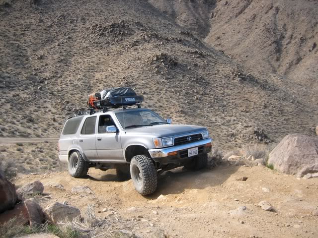 Name:  DV_115.jpg
Views: 3260
Size:  103.2 KB