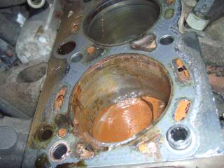 Name:  CIMG2777.jpg
Views: 2004
Size:  47.0 KB