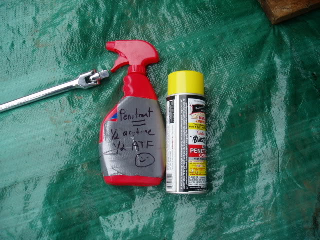 Name:  P1010007-1.jpg
Views: 2462
Size:  83.8 KB