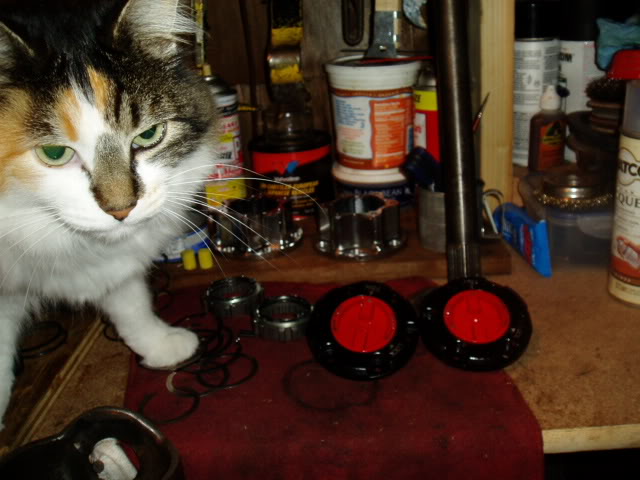 Name:  P1010008-2.jpg
Views: 5792
Size:  54.6 KB