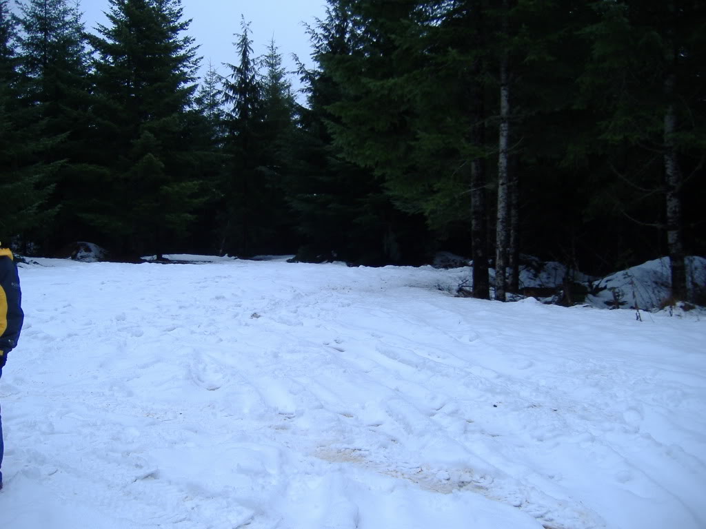 Name:  snow017.jpg
Views: 1234
Size:  98.0 KB