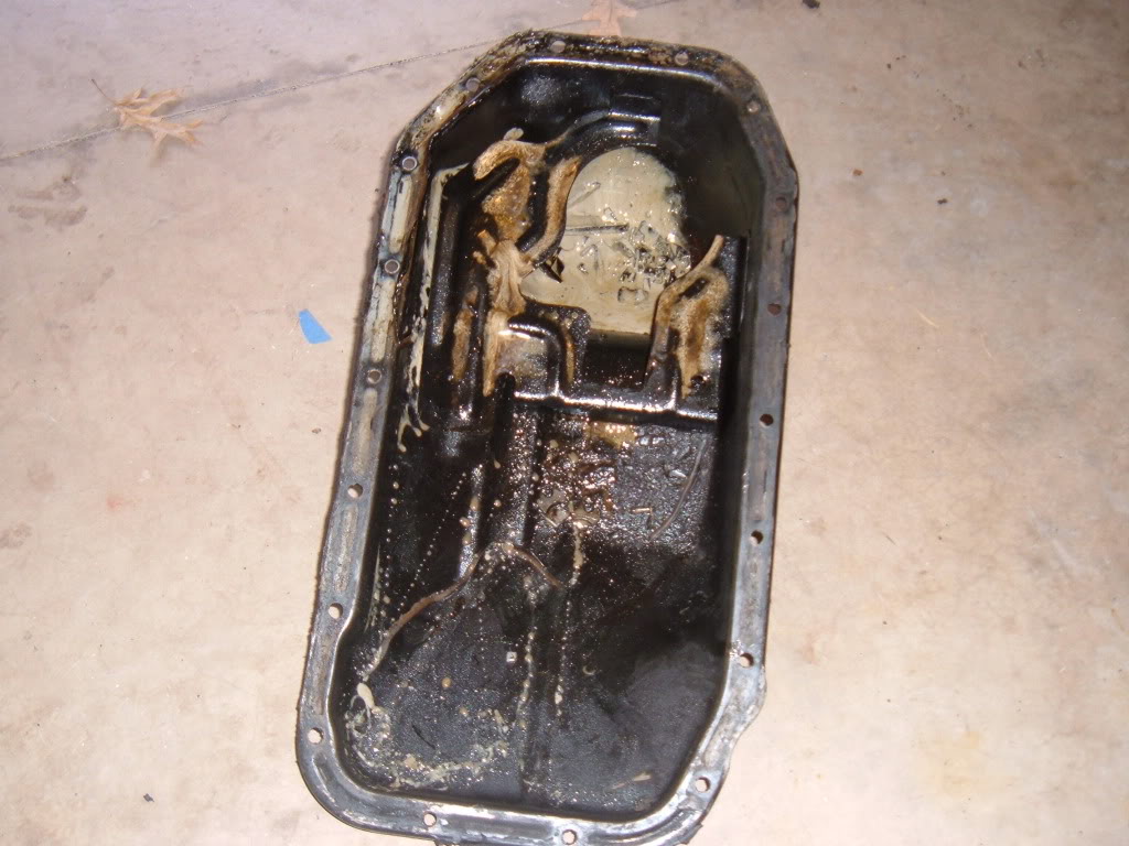 Name:  Picture865.jpg
Views: 10107
Size:  124.4 KB