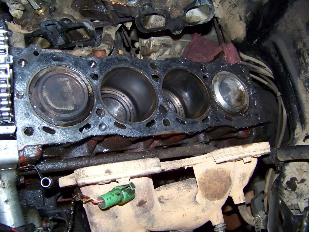 Name:  100_2359.jpg
Views: 4663
Size:  192.1 KB