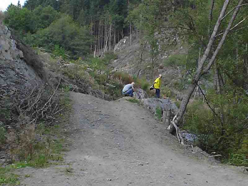 Name:  ardennen8.jpg
Views: 509
Size:  35.8 KB