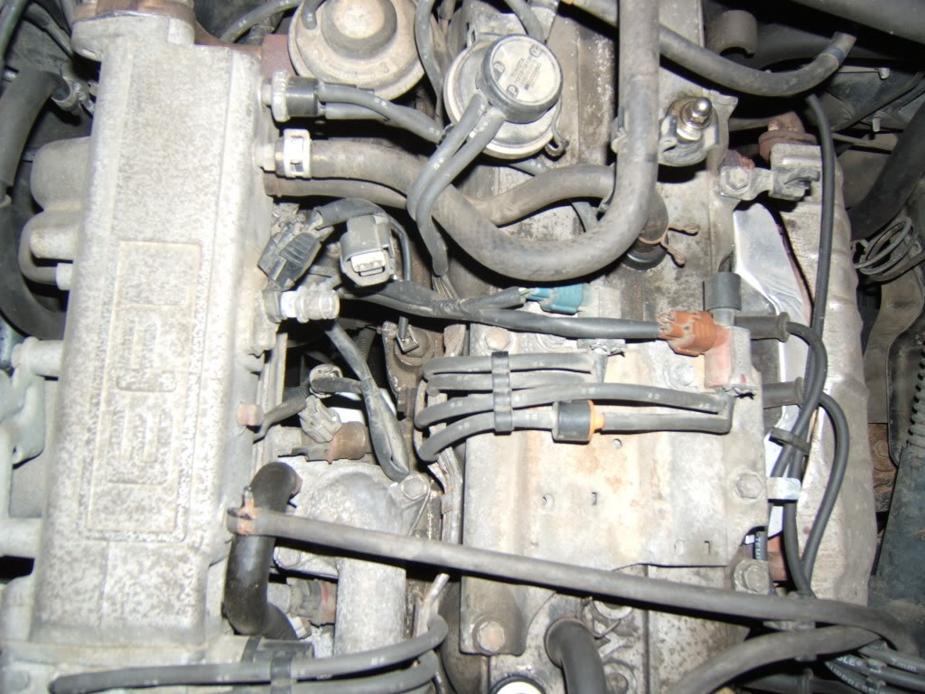 Name:  Plug2.jpg
Views: 187
Size:  149.0 KB