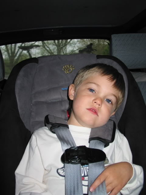 good child safety seat for going off-road? - YotaTech Forums