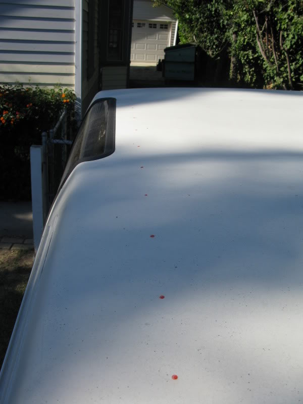 Name:  IMG_3419.jpg
Views: 1568
Size:  52.4 KB