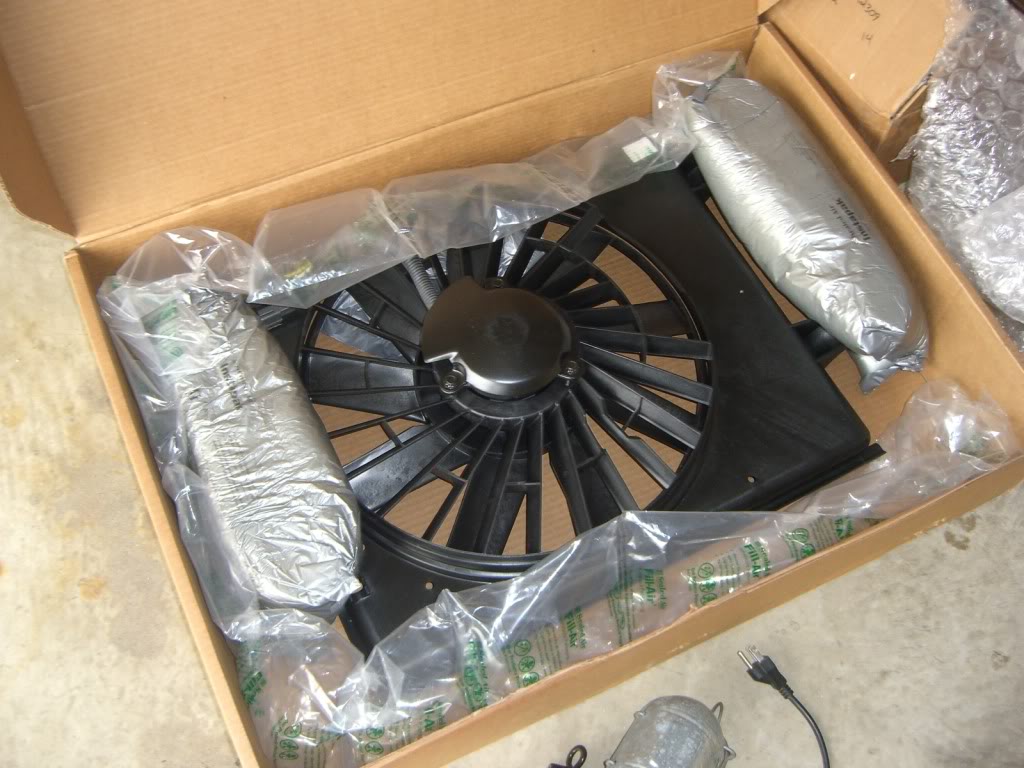 Name:  CIMG7704.jpg
Views: 947
Size:  119.0 KB