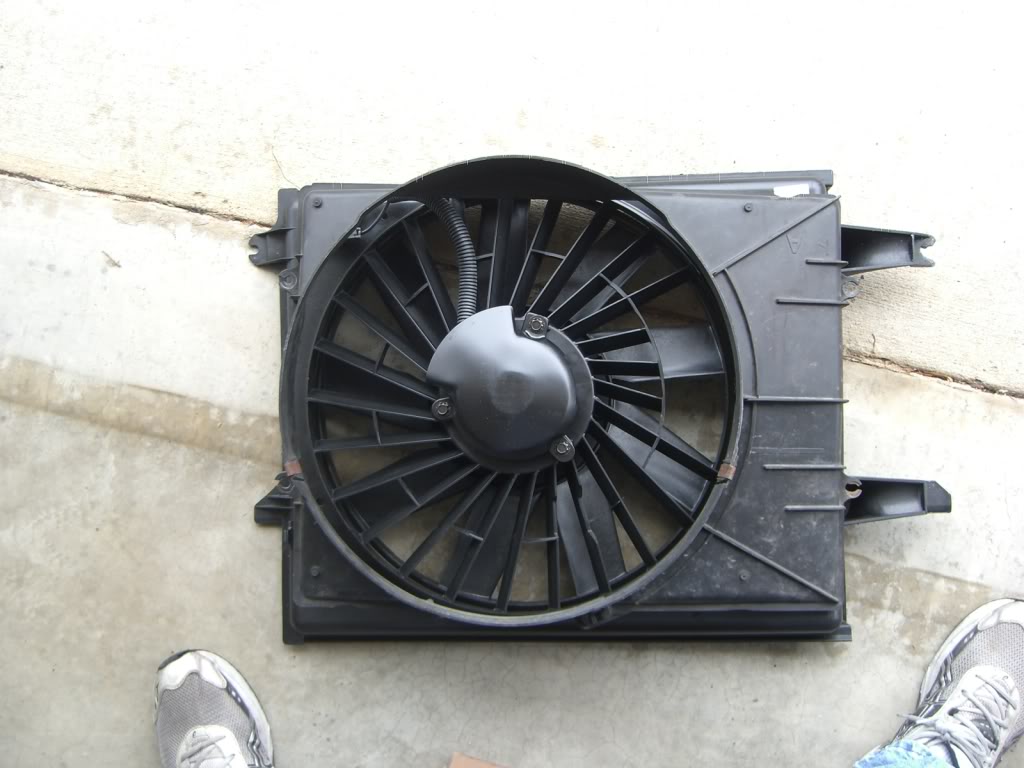 Name:  CIMG7707.jpg
Views: 947
Size:  86.4 KB