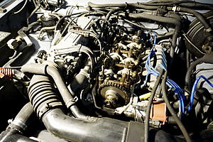 new timing chain and guides time/opinions-_dsc9489-resized.jpg