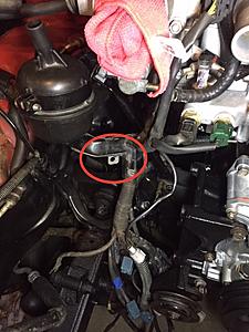 New to the website need help!-img_0350.jpg