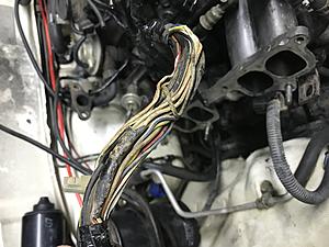 Cold Start injector intermittent, HELP!-afad01d0-7f35-46c4-b815-753c75081c84.jpeg