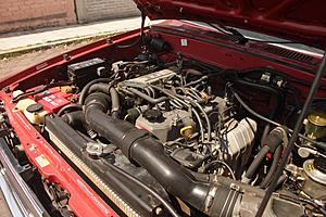 Toyota 1994 4x4 Pickup project for the Sierra Madre Oriental Mountains-toyotamotor1.jpg
