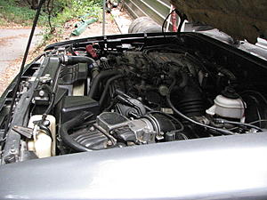 Stumped-No power-img_0008.jpg