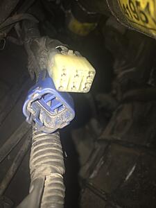 Having trouble with my transmission swap wiring-dr5o6ln.jpg