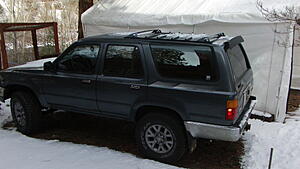 cruse control-punjpdk.jpg