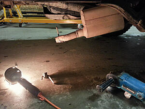 '93 4Runner neighborhood crackhead cat delete-cv7uh1i.jpg