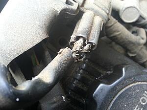 bad truck. dies. runs like crap. jerks alot.-sgqu17x.jpg