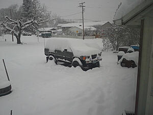 Post Your Pics!!!-sasdyfw.jpg