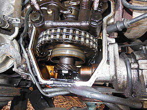 1989 22r with double-row chain?-wkywgro.jpg