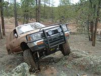 Show off your pics of your 95 runner-f9cb.jpg