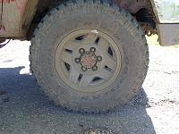 New Meats and Bucket Seats-tylerstruck015.jpg