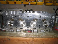 Timing chain, is it time?-img_0883.png