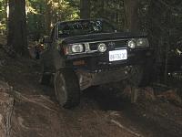 IFS Flex Pics-img_1327-light.jpg