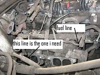 Where does this hose go?!?-untitled.jpg